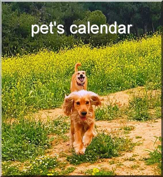 pets-smartphonegreece