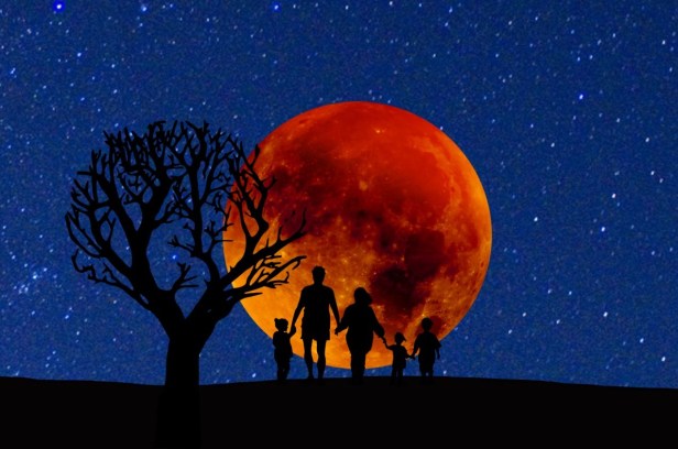 1_mhxwX05IX7w1Nkwc8St4jg