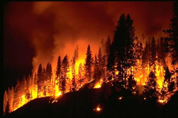 forest-fire-Smartphonegreece