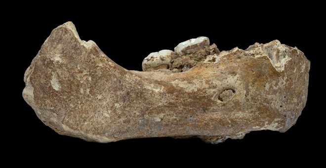 Denisovan-Smartphonegreece (1)