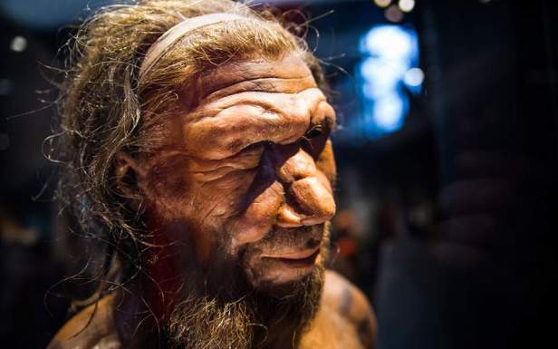 neanderthal-Smartphonegreece