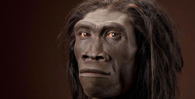 homo erectus-Smartphonegreece