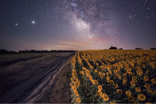 photo-was-taken-on-one-of-the-cheapest--Smartphonegreecephones-of-2020