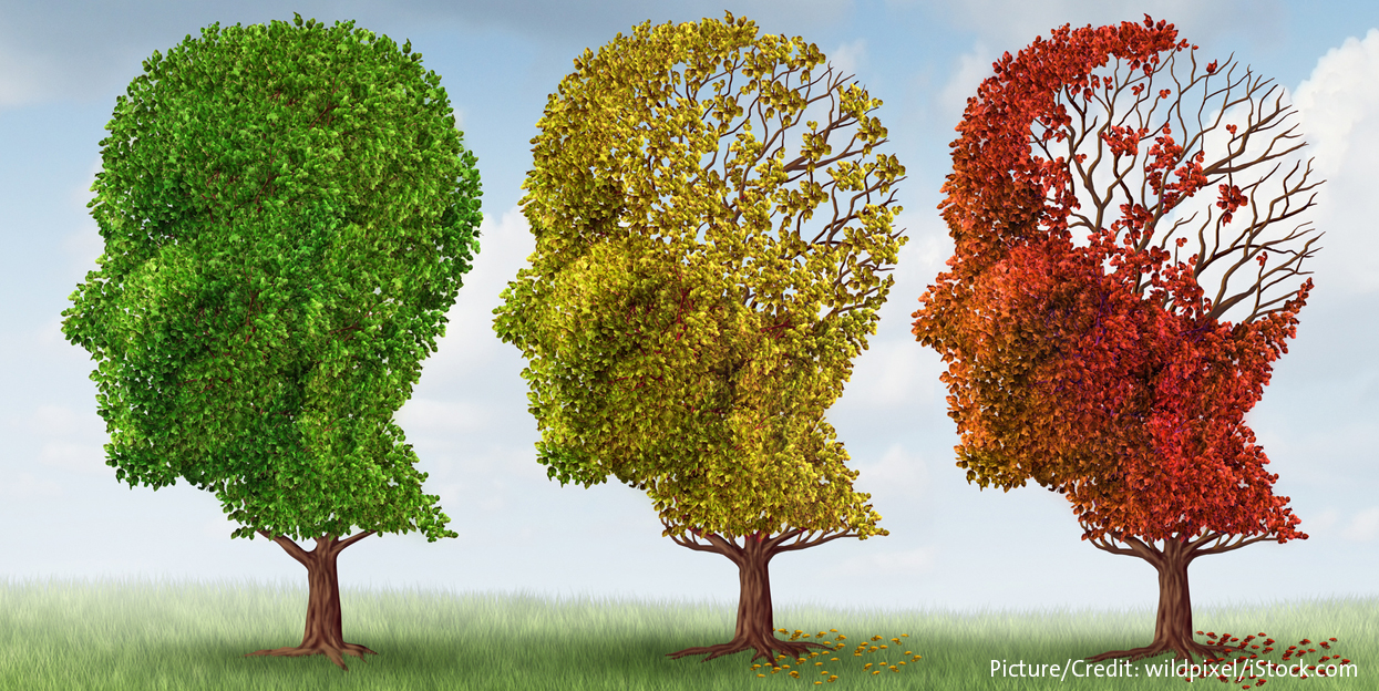 Aging-Brain-Steroids-Smartphonegreece