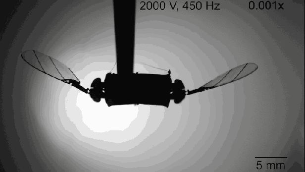 insect-drones-Smartphonegreece