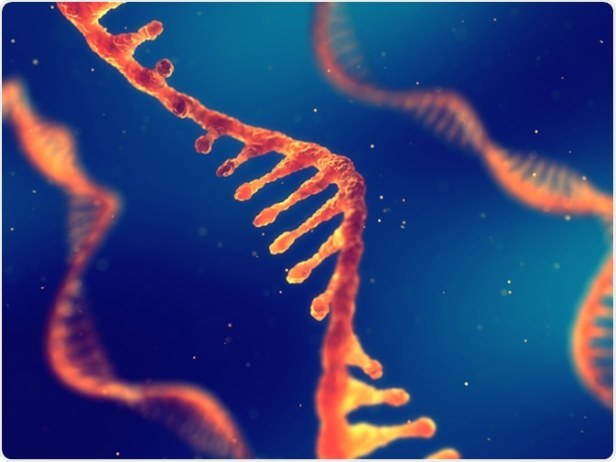 rna-Smartphonegreece