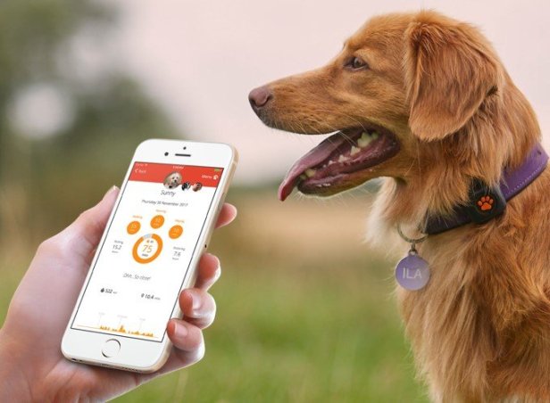 dogs-app-Smartphonegreece