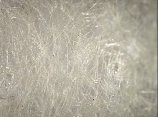 δδδδδδδδδσ